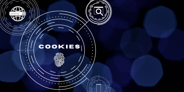 Gestione cookies e dati di navigazione